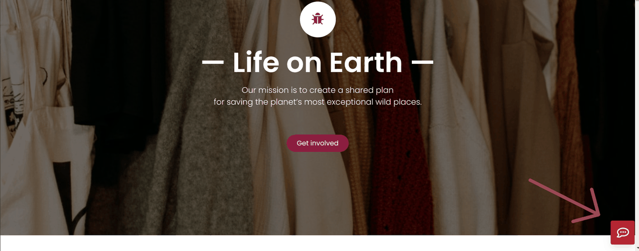 La bulle Livechat Rocket.Chat sur le site web Odoo (capture sur Odoo 16)