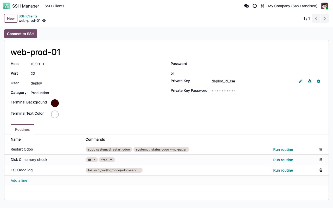 Fiche serveur : hôte, utilisateur, clé RSA avec phrase secrète, catégorie, couleurs du terminal et routines